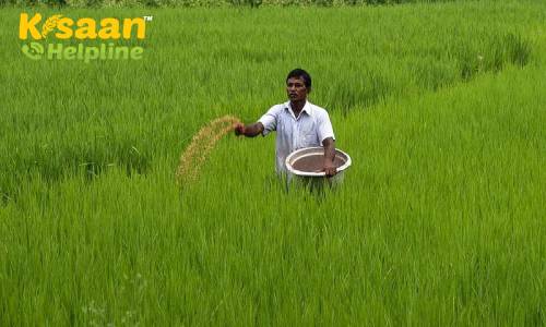 कृषि, खाद्य, उर्वरक सब्सिडी में सुधार की आवश्यकता, राजकोषीय स्थिति बेहतर करने के लिए: वित्त सचिव